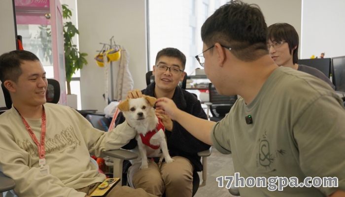 TeamSoda靠着五人一狗做出了国产独游奇迹之作 TeamSoda靠着五人一狗做出了国产独游奇迹之作